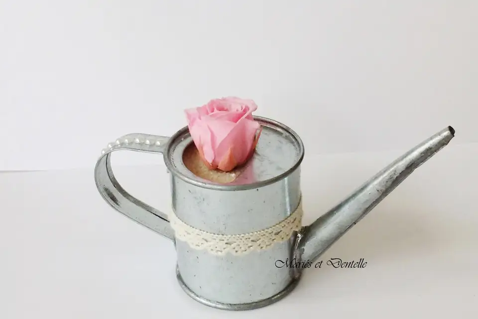 Mariés et Dentelle — photo 5