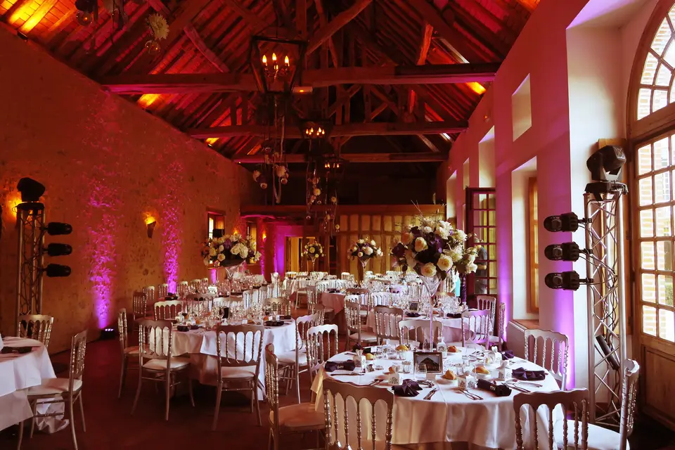 Festi Concept — photo 2