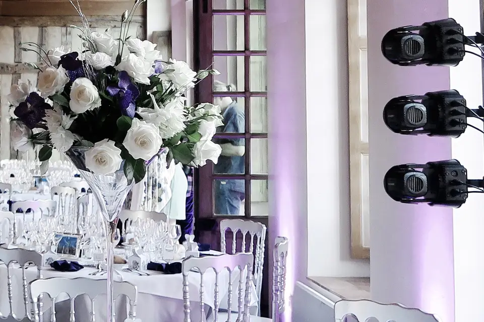 Festi Concept — photo 4