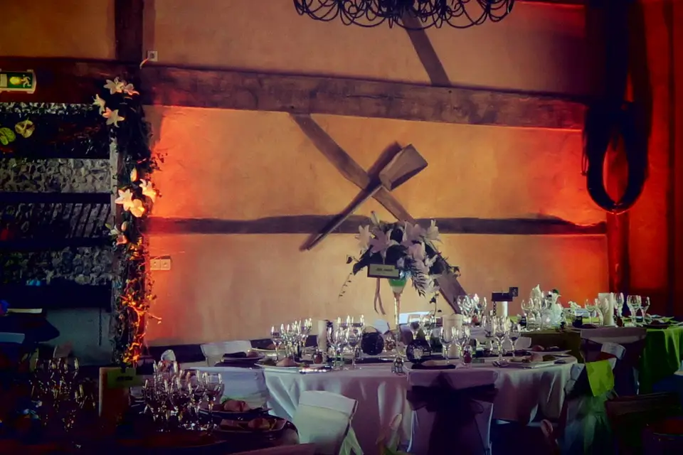 Festi Concept — photo 8