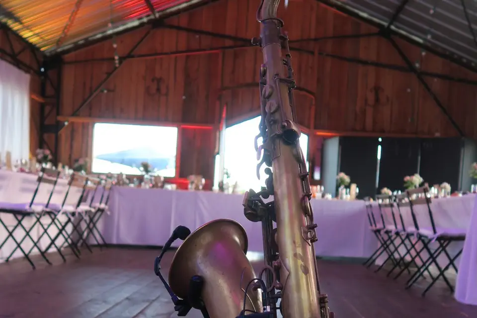 Festi Concept — photo 1