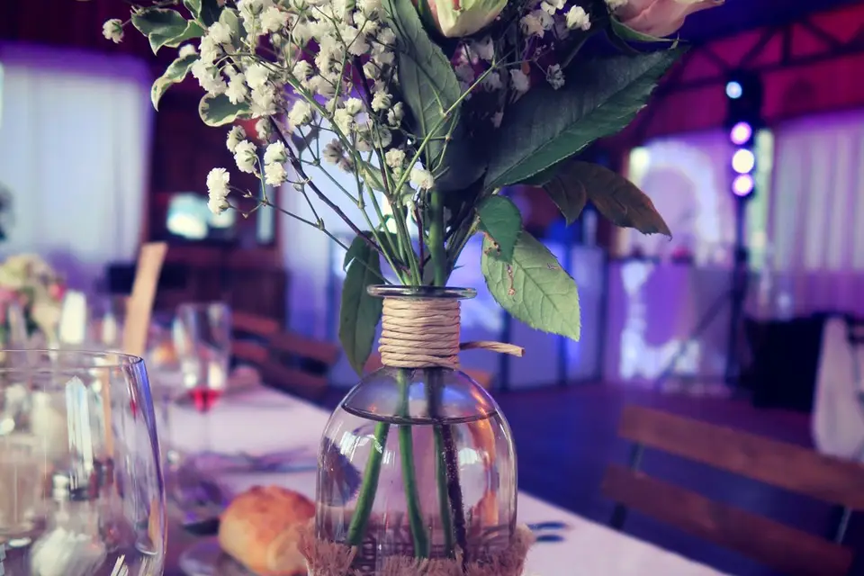 Festi Concept — photo 6