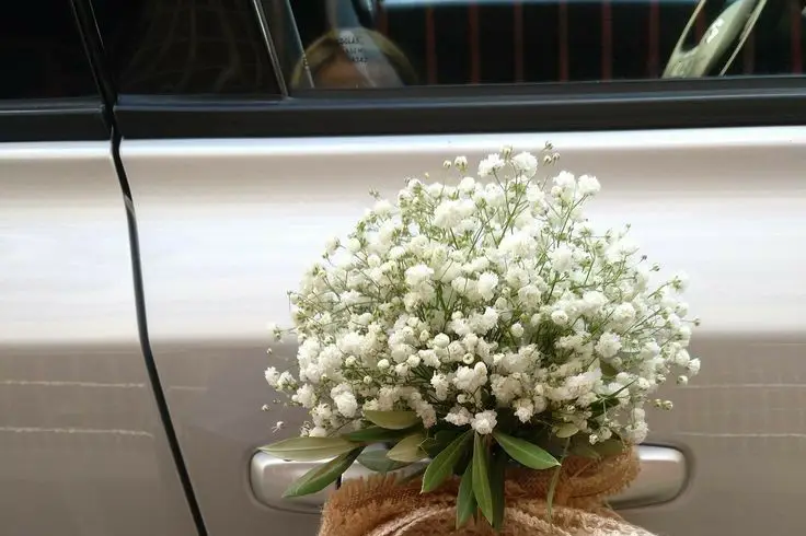 Au Fil Des Saisons — photo 5