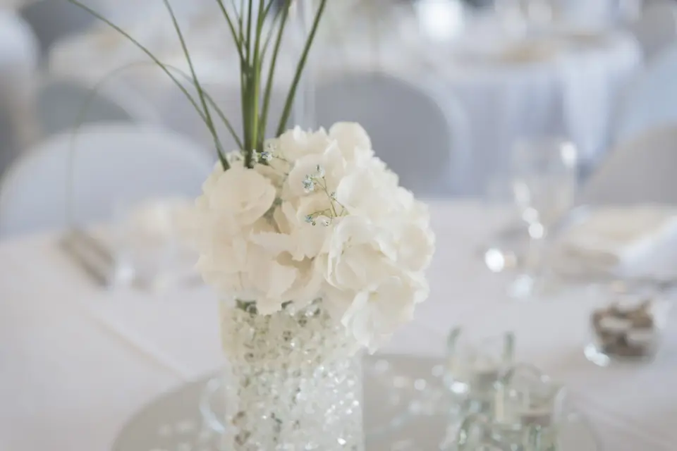 Piqxel-Photo — photo 3