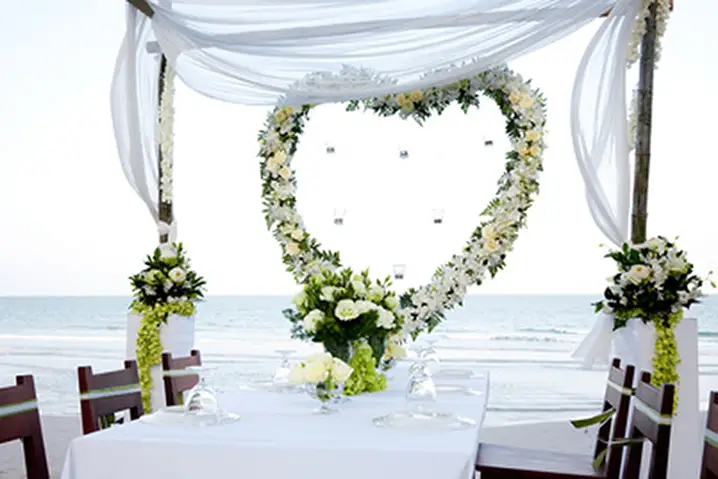 SoClapLive — photo 7