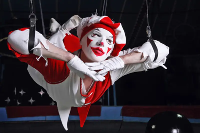 SoClapLive — photo 6