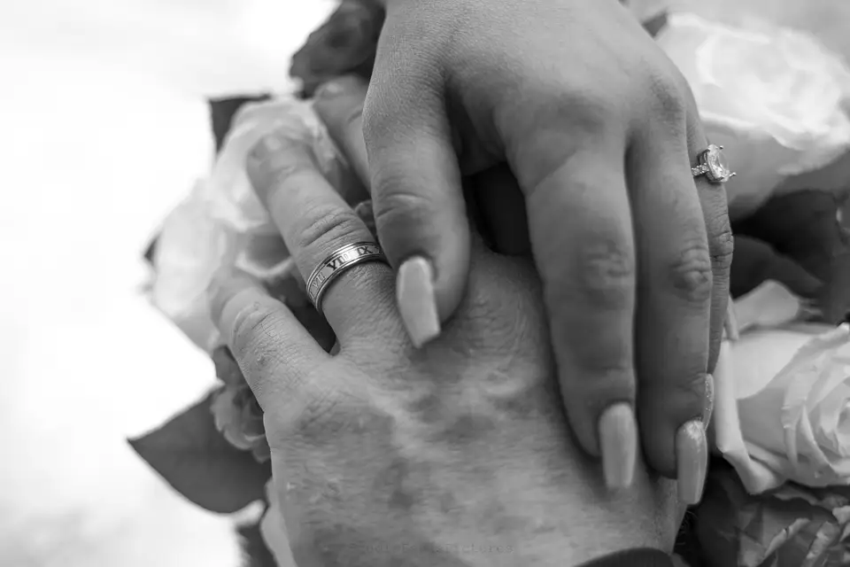 Studio Focus Pictures