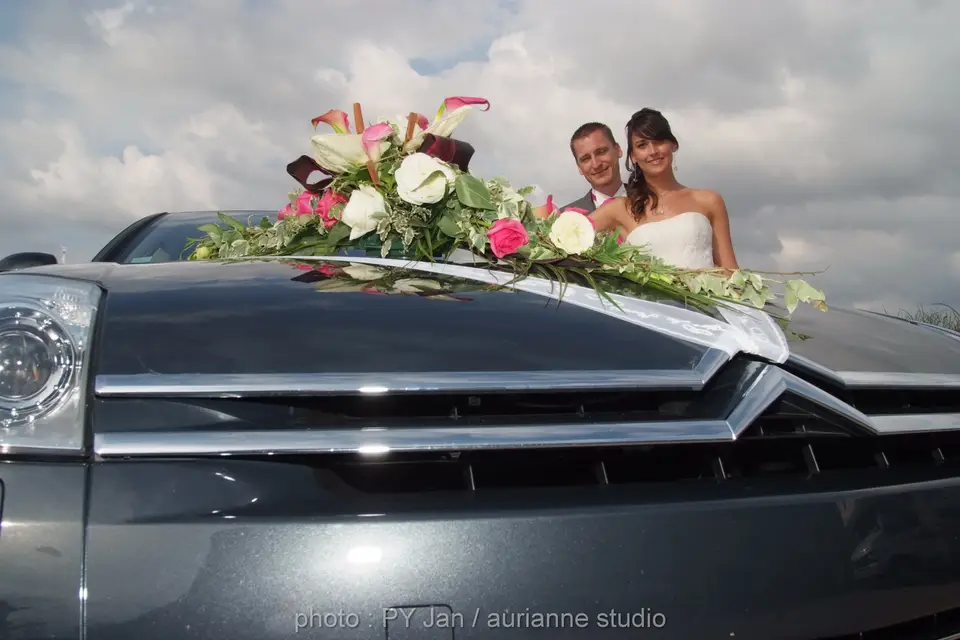 Aurianne Studio — photo 8