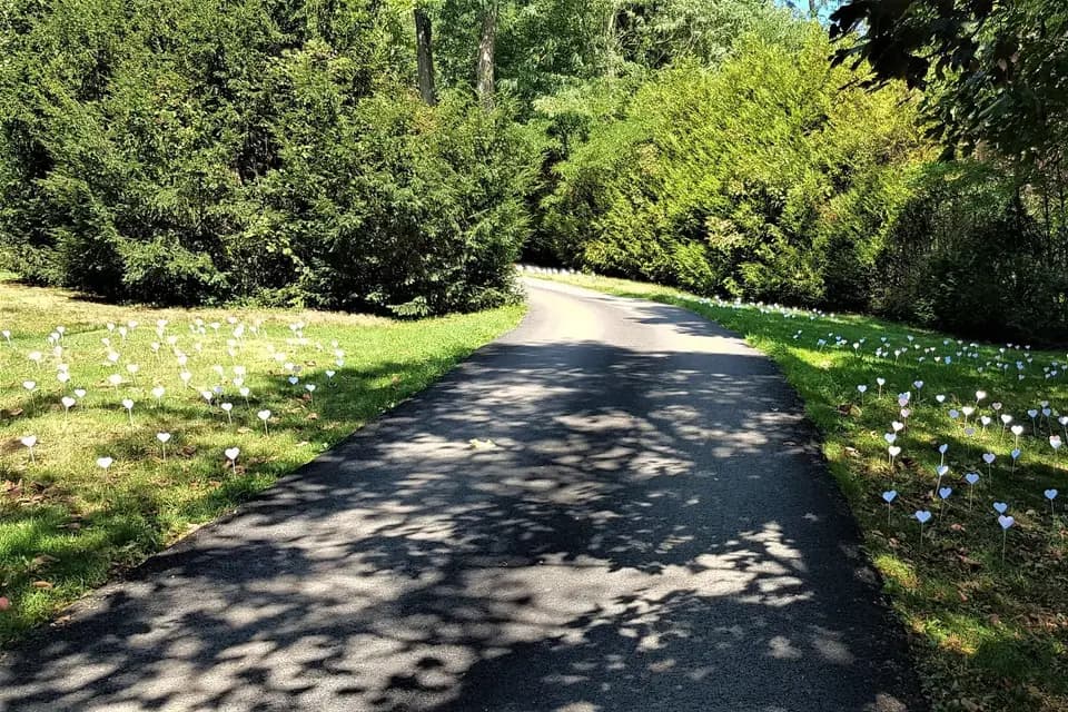 L'Ermitage du Rebberg — photo 4