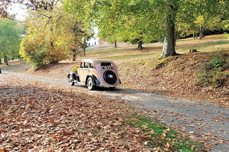 L'Ermitage du Rebberg — photo 6