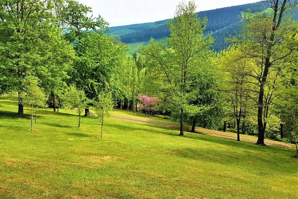 L'Ermitage du Rebberg — photo 8