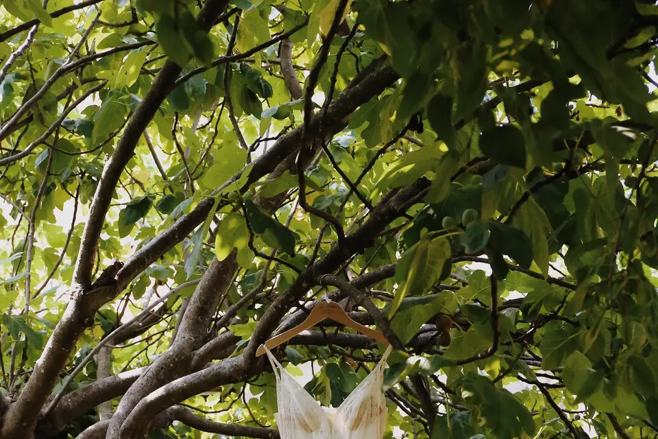 Lara Debut — photo 4