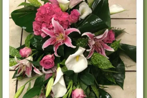 Passiflore — photo 1