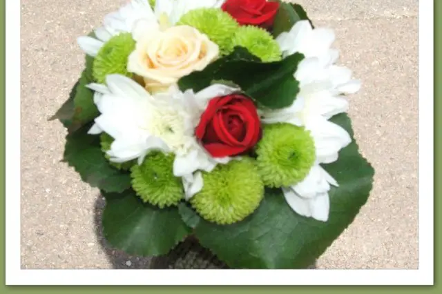 Passiflore — photo 2