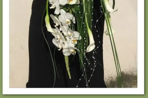 Passiflore — photo 3