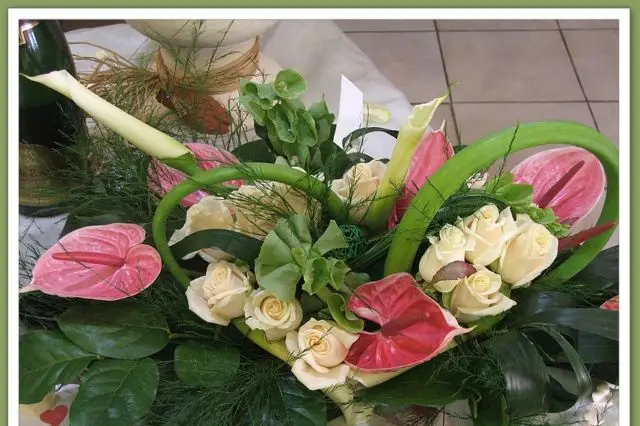 Passiflore — photo 4