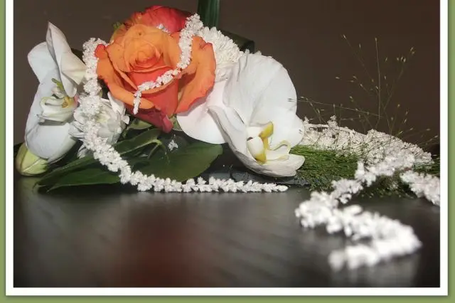 Passiflore — photo 5