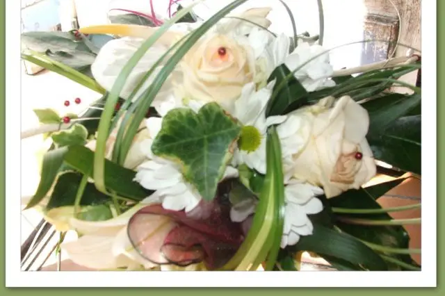 Passiflore — photo 6