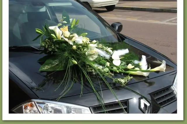 Passiflore — photo 7