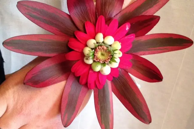 Melle Anaïs — photo 4