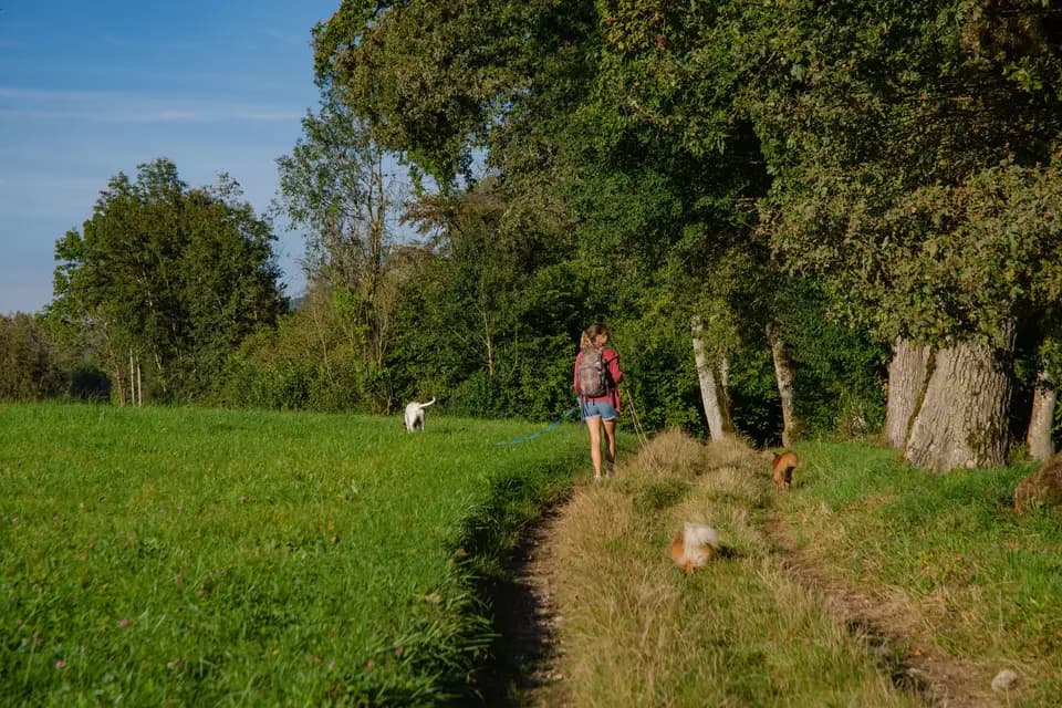 Les Papattes'ouf - Pet Sitting — photo 4