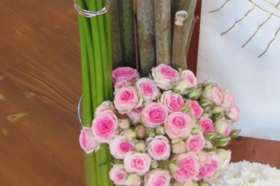 Melle Anaïs — photo 2