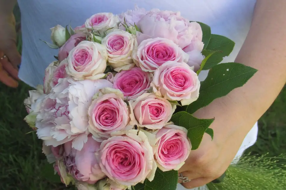 Melle Anaïs — photo 3