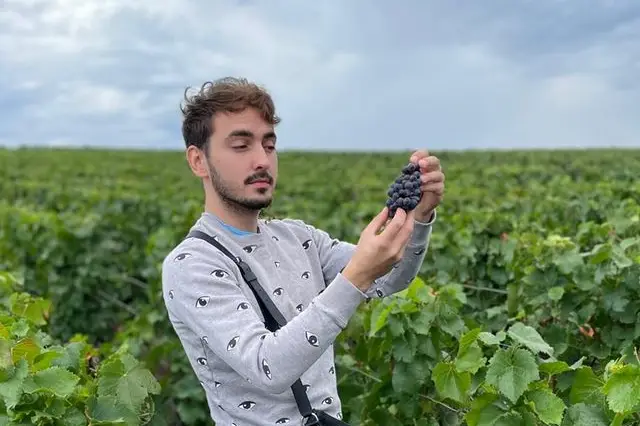 Champagne Vessier — photo 5