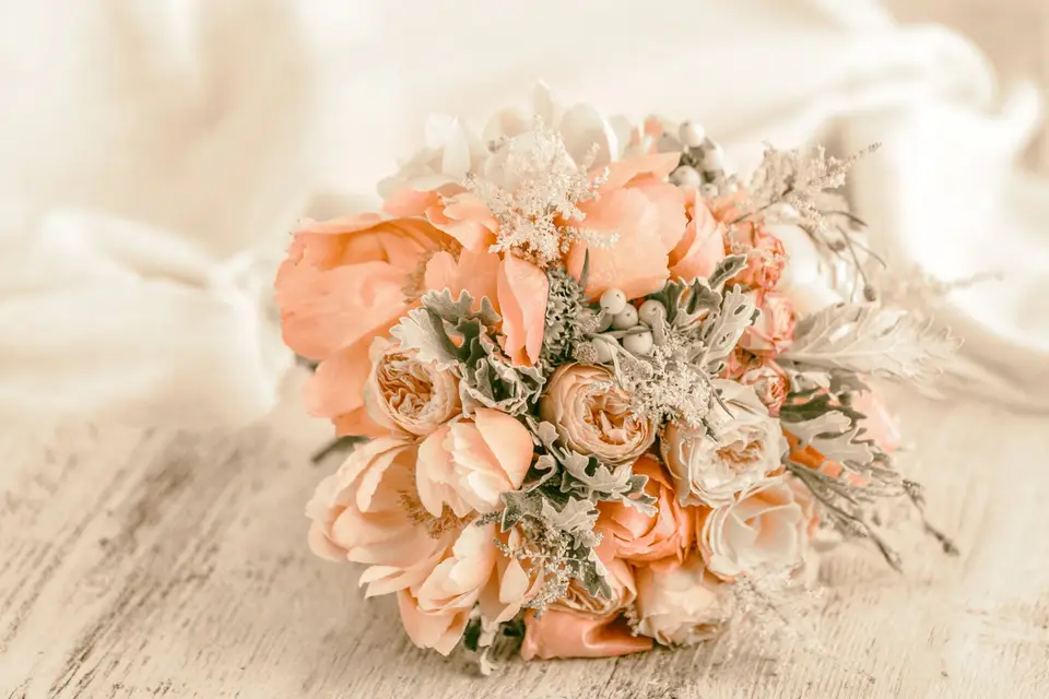 Poudre et Dentelle — photo 5