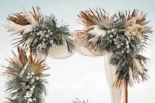 Poudre et Dentelle — photo 1