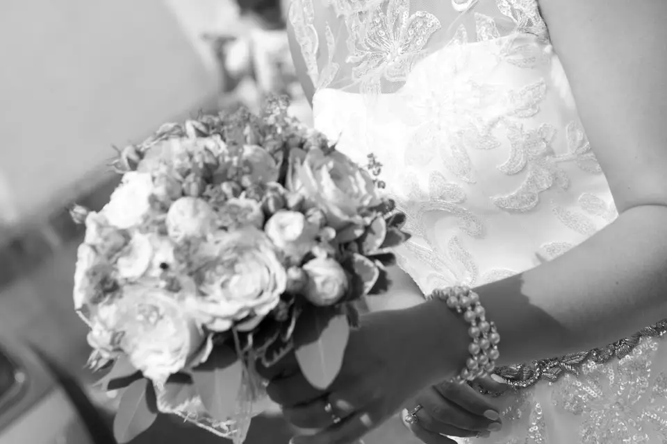 SC-Photos — photo 3