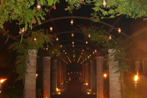 Fête la Fête — photo 5