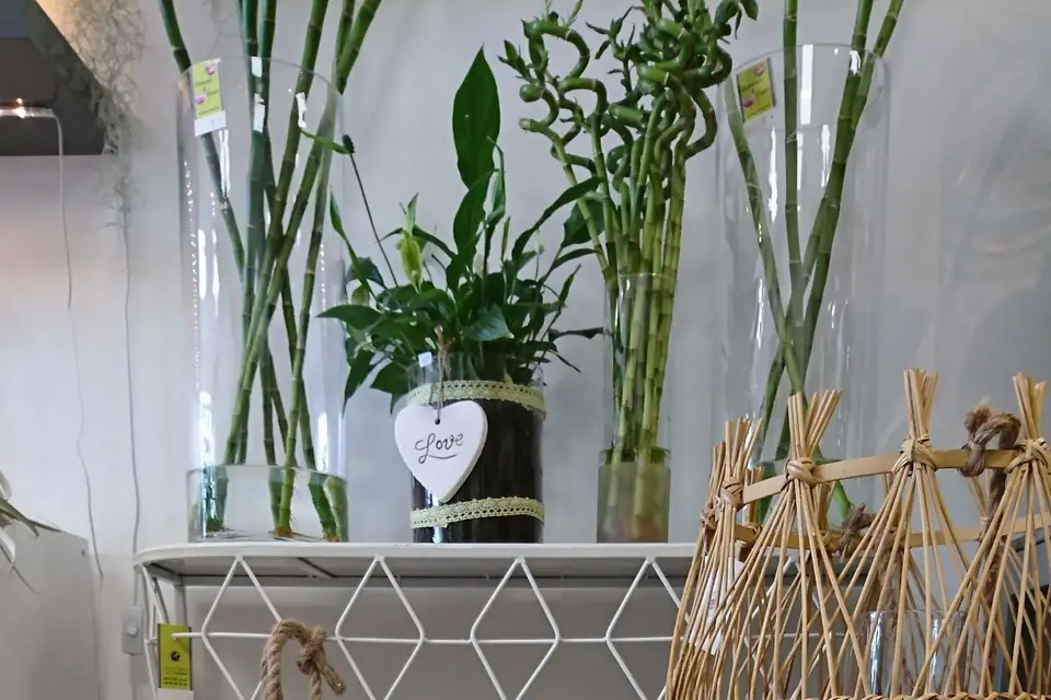 Clémence & Fleurs — photo 5