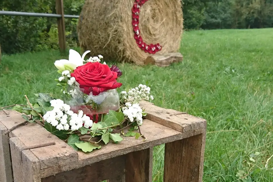 Clémence & Fleurs — photo 6