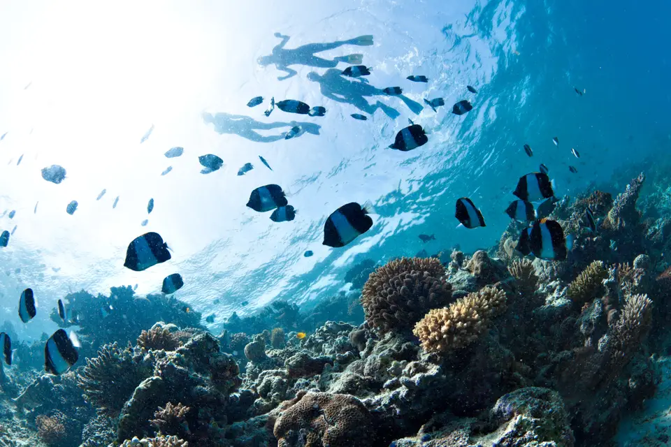 Wherever You Go — photo 3