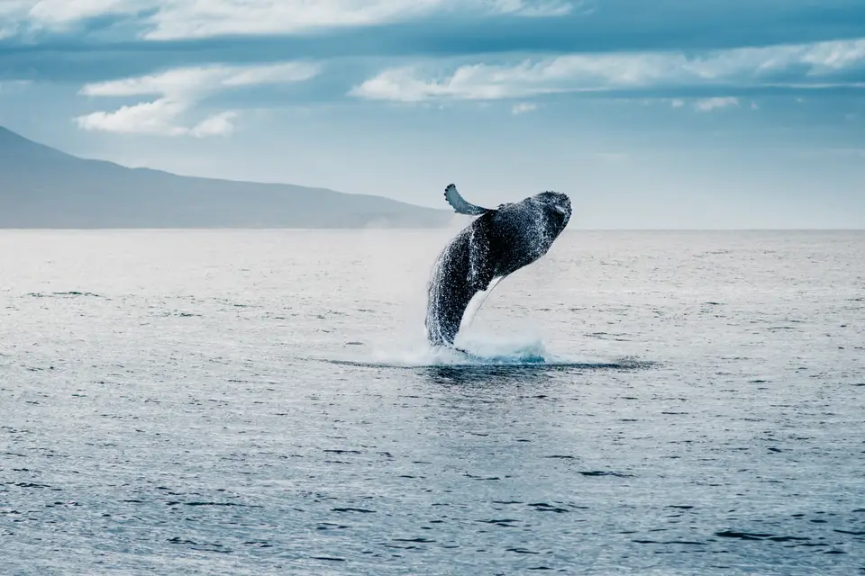 Wherever You Go — photo 5