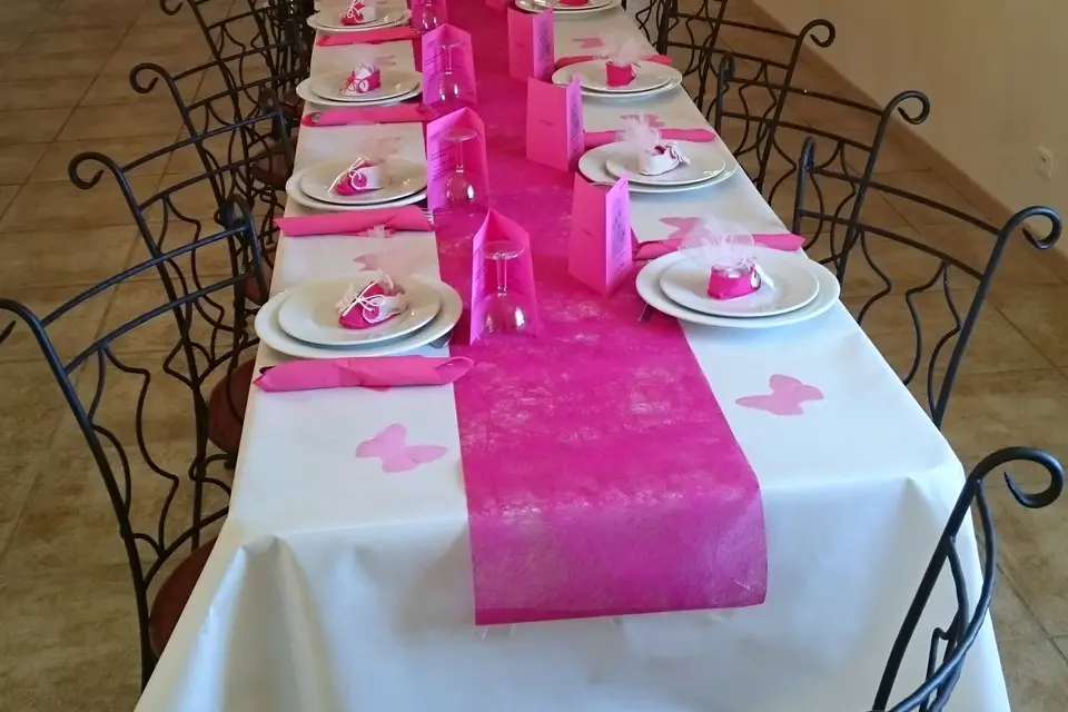 Viou Evènement — photo 5