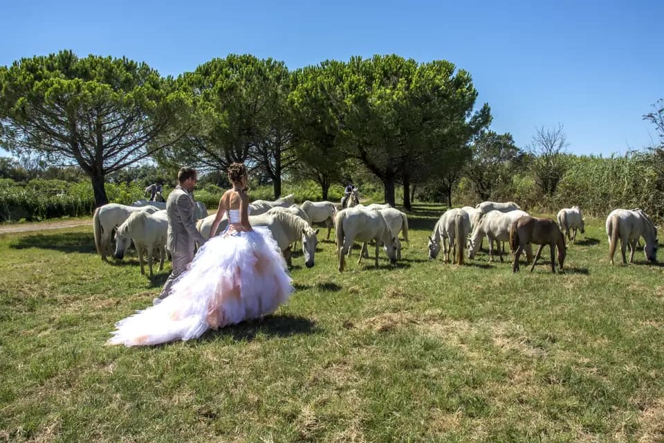 Viou Evènement — photo 8