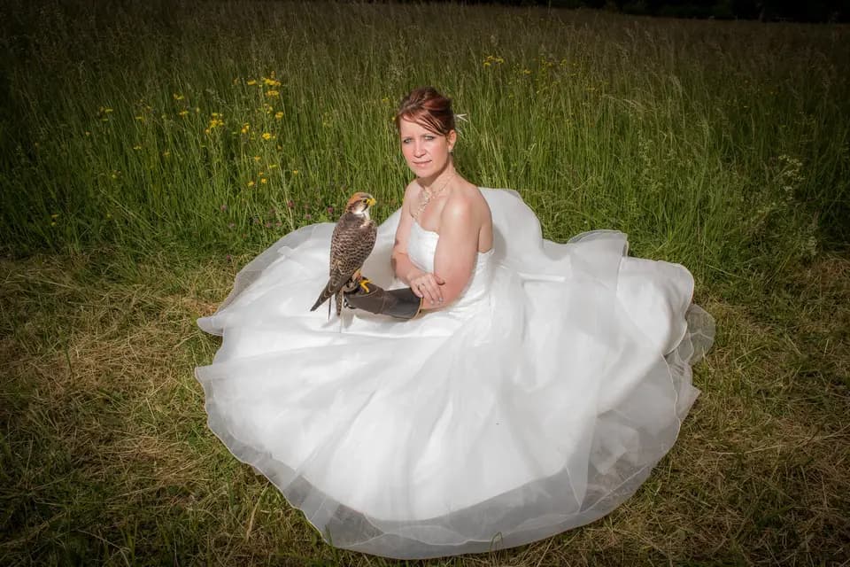 Fabrice Photographe — photo 4