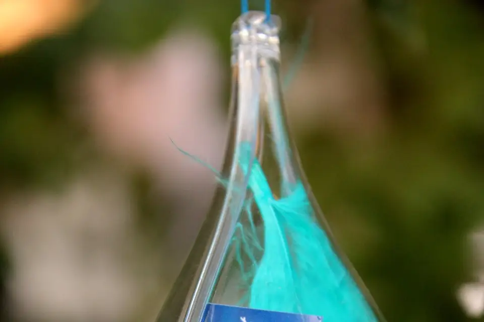 Roqu'Events — photo 8