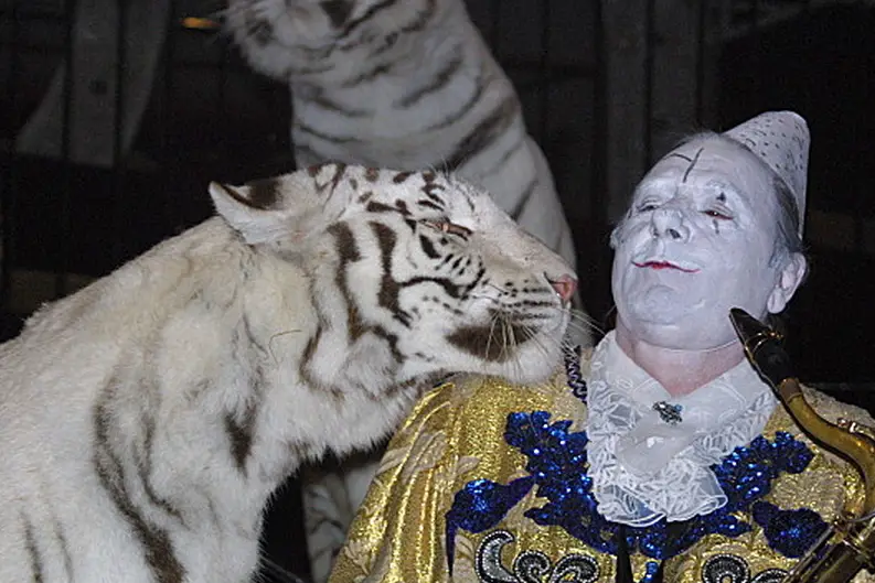 Alban William - Magicien — photo 5