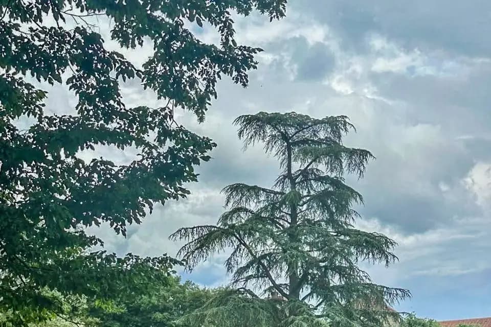 L'Écrin du Monastère — photo 1