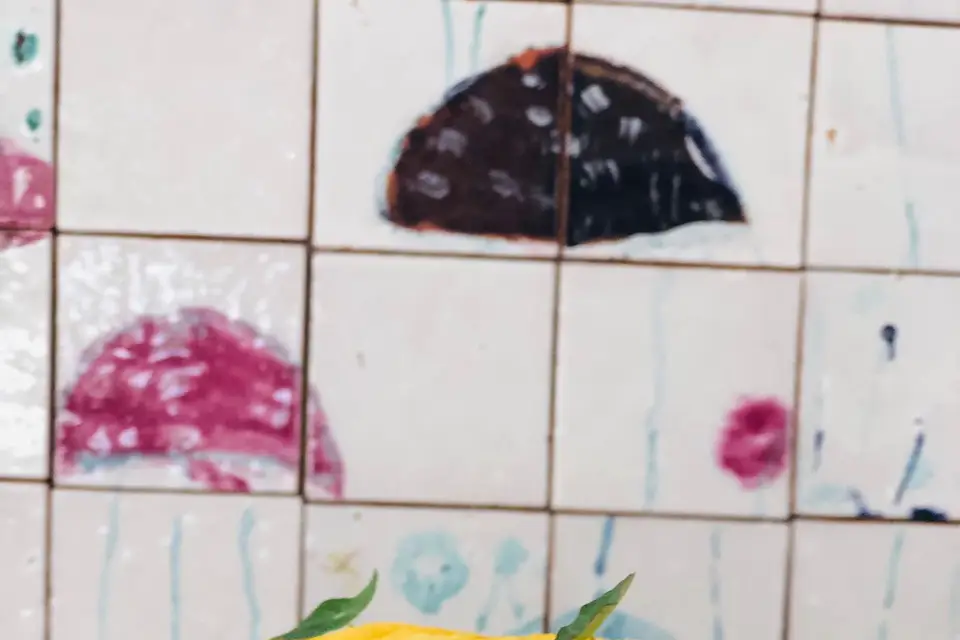 Le Banc de Sable — photo 7