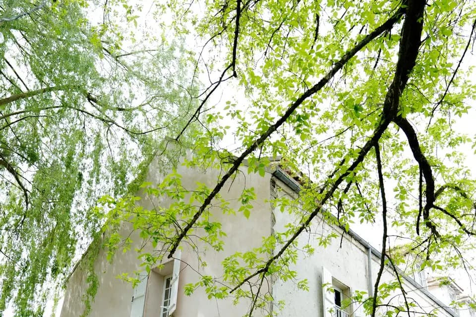 Le Moulin de Fourcon — photo 5