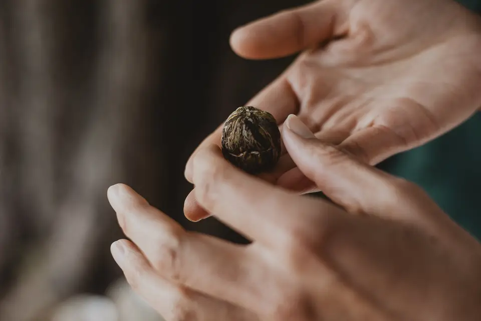 Les Événements Taunat — photo 4