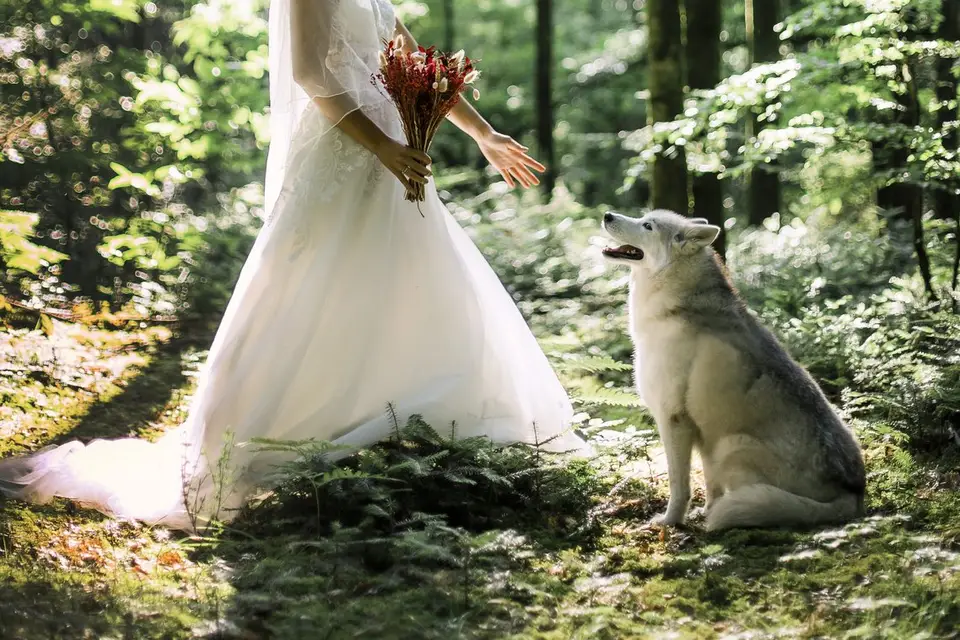 Jeremy Elain — photo 4