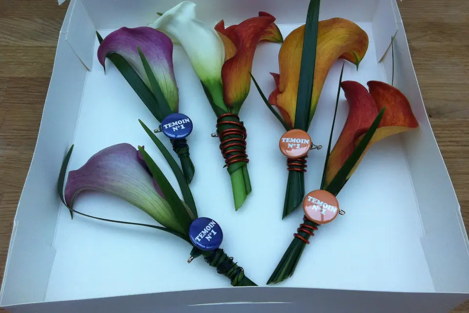 Lultraviolette — photo 4