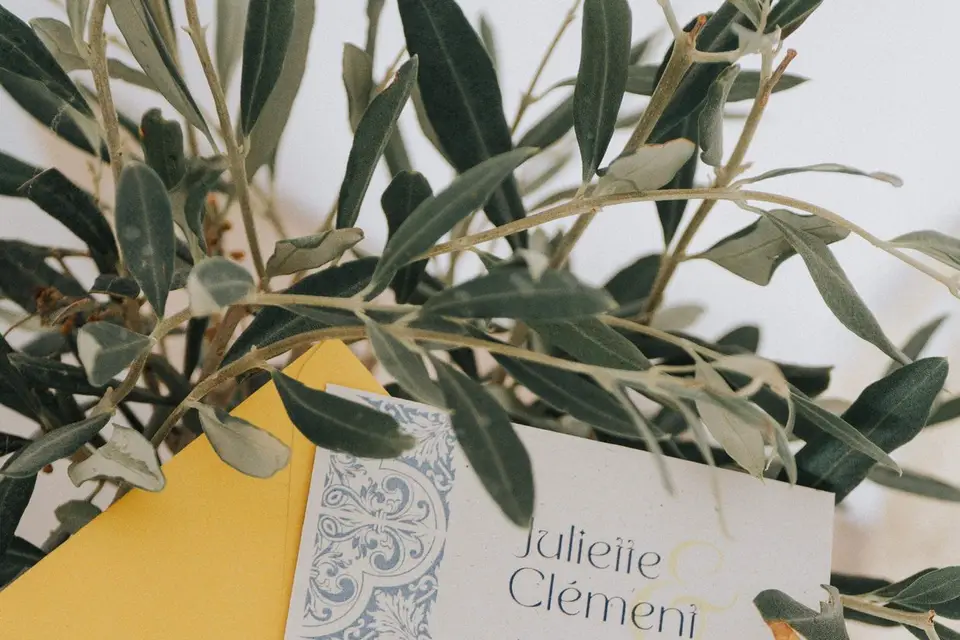 Cosy Agency — photo 4