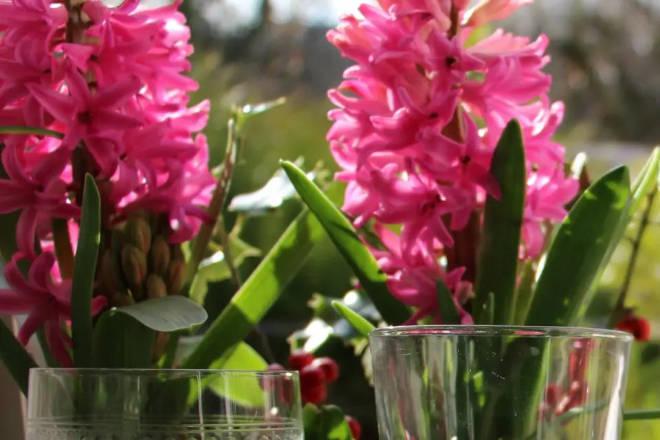 Des Souvenirs Dans Mon Assiette — photo 5