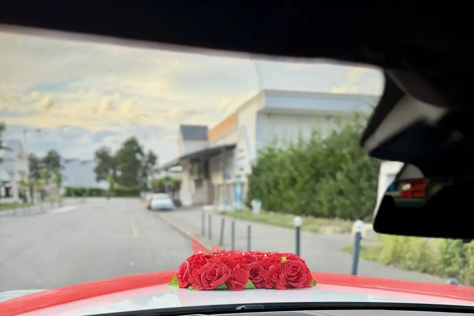 Orea Lane — photo 8